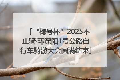 “椰号杯”2025不止骑·环溧阳1号公路自行车骑游大会圆满结束